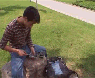 Roller Hot Wheel - Ref 2566699 Image 10