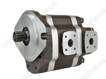 G5-05-05-A13F-20-R,双联齿轮泵