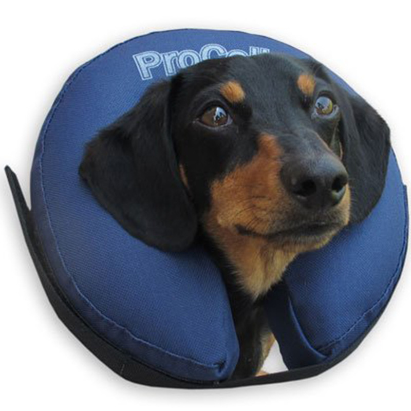 厂家现货PVC充气宠物脖圈 充气狗狗保暖圈 充气狗狗护颈圈批发阿里巴巴