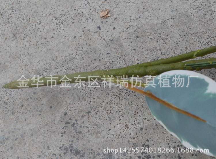 XRB-133白边香樟叶五叉枝90叶7CM3