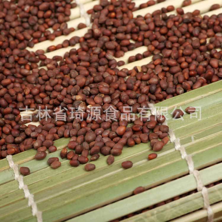 Low Temperature Baked Radish Seeds Bulk Da Luo Zi Ready to Eat Herbal Snack quality and texture