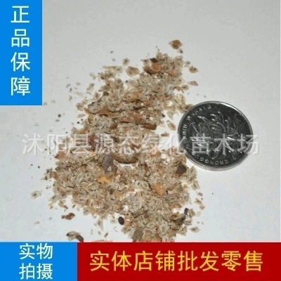wholesale high quality Tree seeds Kiri seed Quality Assurance Germination rate Large concessions