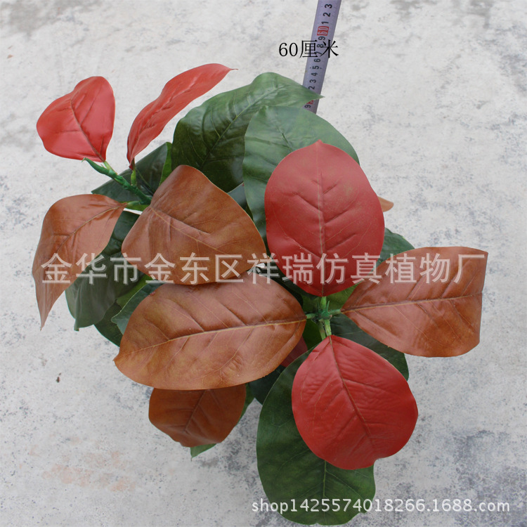 XRB-102秋高榕叶五叉支40叶60厘米高