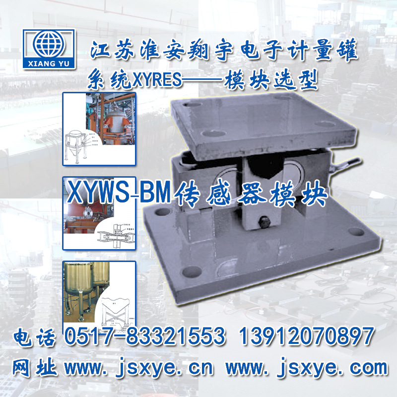 XYWS-BM称重模块