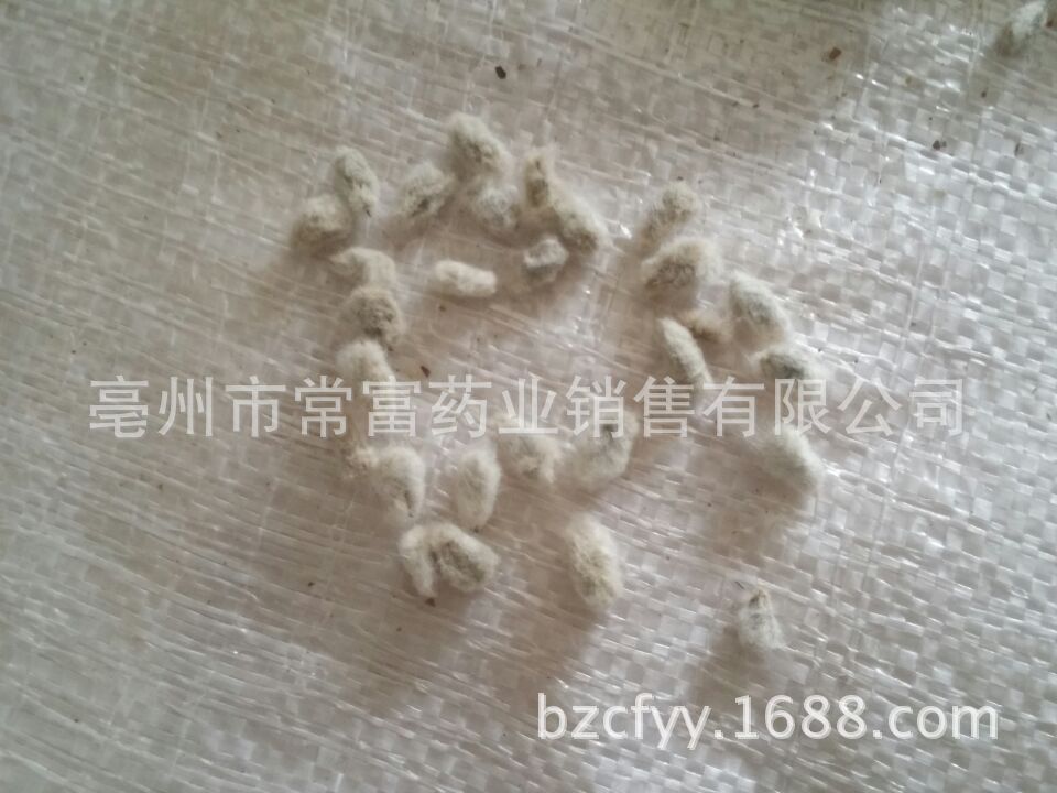 Cotton Seed Mian Zi 500g Dried Whole Seeds for Culinary and Traditional Herbal Use specifications