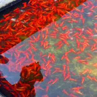 ~֮lBֳشl^p~~wС~ˮ~l