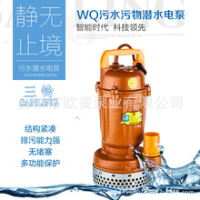 �޶�����ˮǱˮ�ø���̴������綯��ˮ����ֳ��������ʽ����ʽ