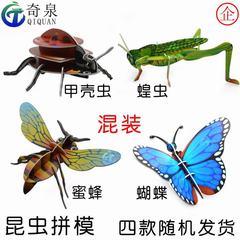 3D Insect Puzzle Model Biological Insect Model Scientific Experiment Equipment Technology Small DIY Project Science Popular Science Teaching Aid
