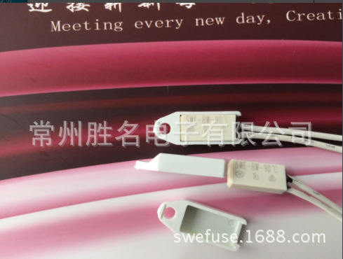 小体积热保护器 BW-B2D常开常闭、BW微型温度开关 温控器引线式