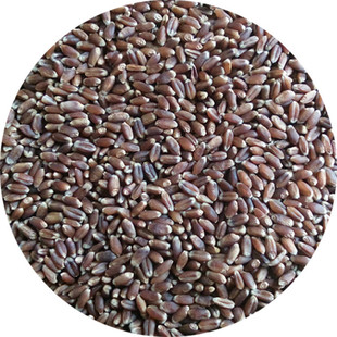 Прямое снабжение завода может напрямую обрабатывать черную пшеницу Оптовую фиолетовую пшеницу № 1 Черная пшеница сырая зерно 60 кот на сумку