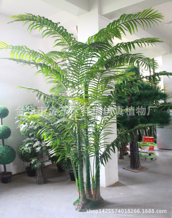XRS-087六杆椰子叶树26叶230厘米