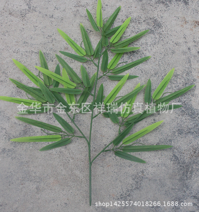 XRB-111富贵竹叶3叉枝52叶62厘米背面1