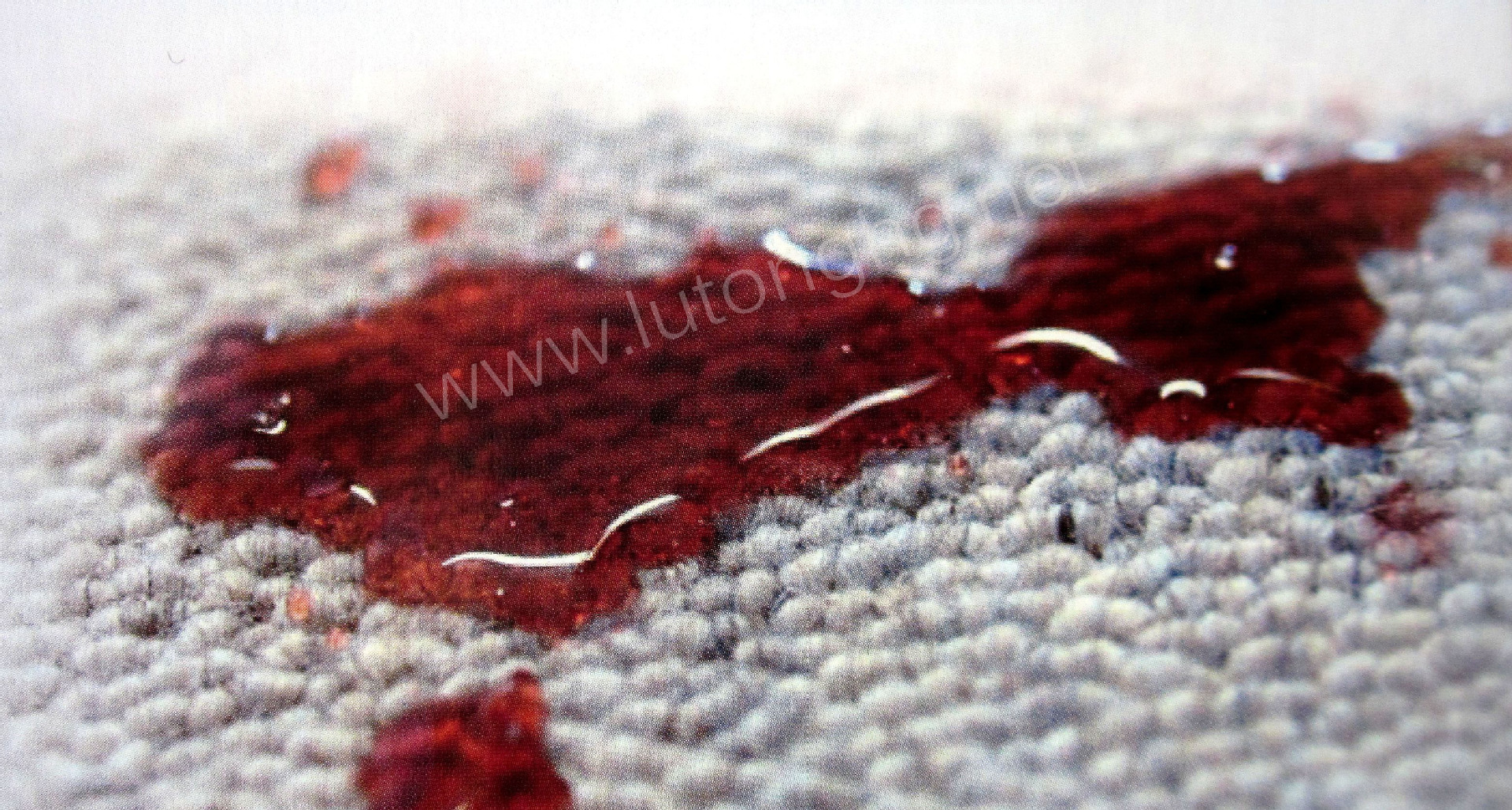 C6������ȥ���������������;�������ȥ��������SR��AG-E100