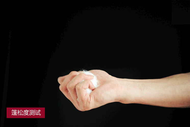 TB22a_4aFXXXXX8XXXXXXXXXXXX_!!