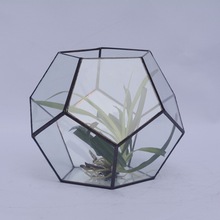 厂家批发新创意环保室内养花玻璃花房玻璃盒艺术盆景玻璃花瓶花盆