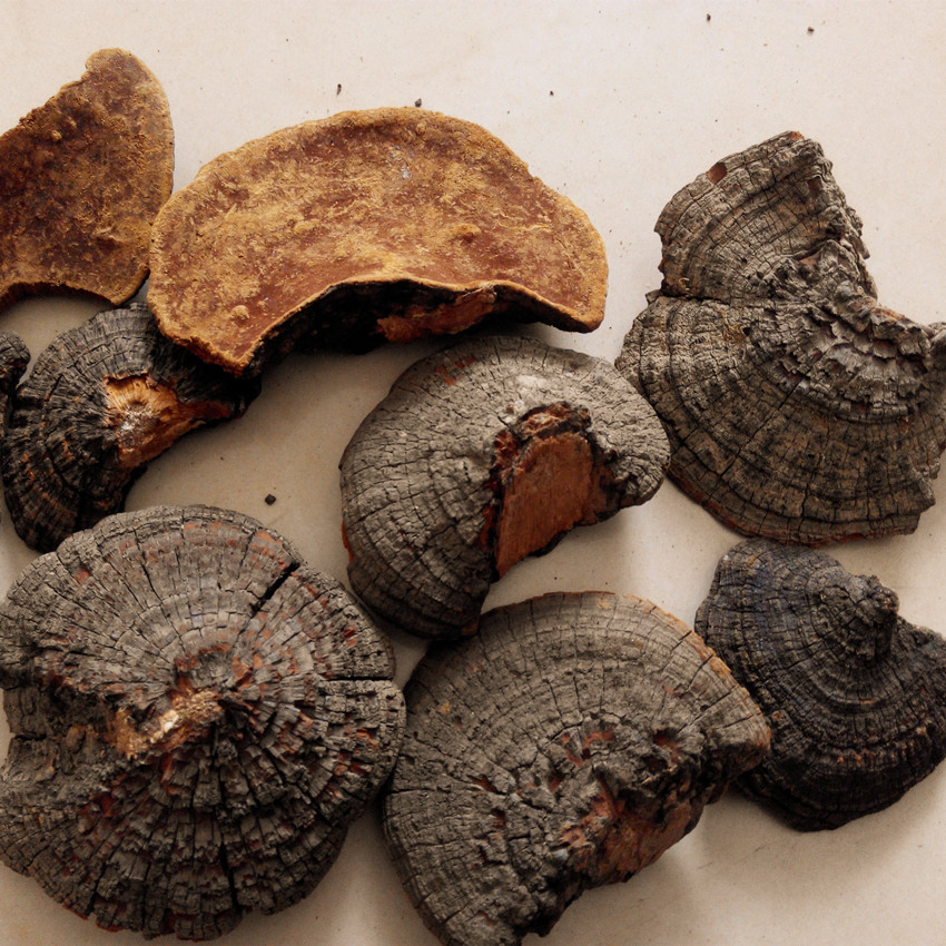 IMG_20151125_123306_副本