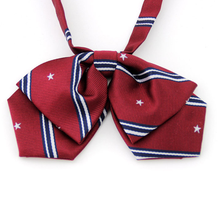 Student pleated skirt, Japanese bow tie 2