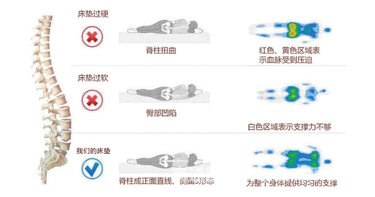 竹炭纖維床墊_08