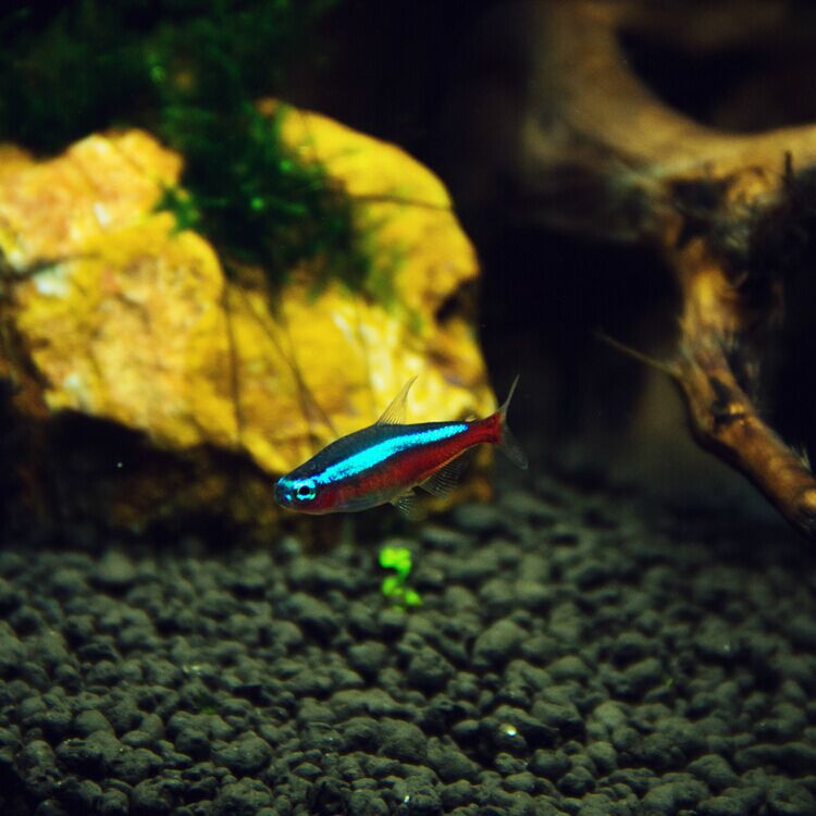 QQ图片20150614160505