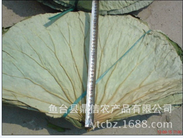 Оптовая продажа фабрики различные спецификации Вэйшань озеро целый лист лотоса, чтобы обеспечить клейкий рис курица называется курица лист лотоса рис с сушеным листом лотоса