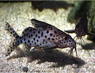 �Ꭷ�^�p�~���l �坍�~����؈�����T�~