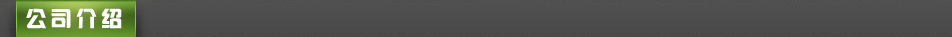 公司介绍