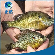 �S�ҹ������u�s��̫��~����ζ�����w�����ʸ߃��|�V�|̫��~��