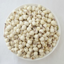 ����ɏ�ӟoо���l �����a�����خa��ɏ�Ӹ�؛ͨ�ğo���500g/��