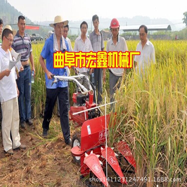 QQ图片20150708102804