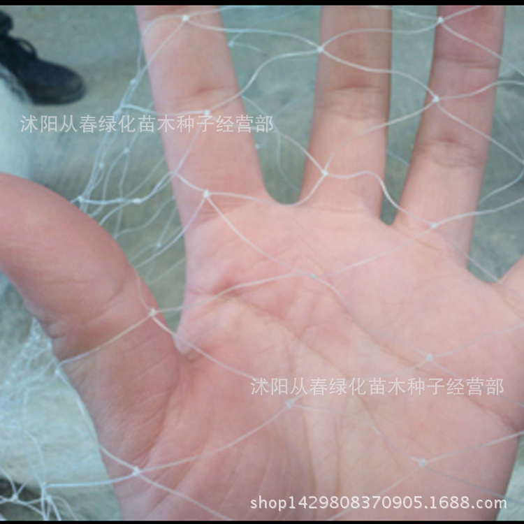 QQ截圖20150730155516