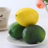 Realistic lemon fruit jewelry from foam, photography props, Birthday gift, wholesale