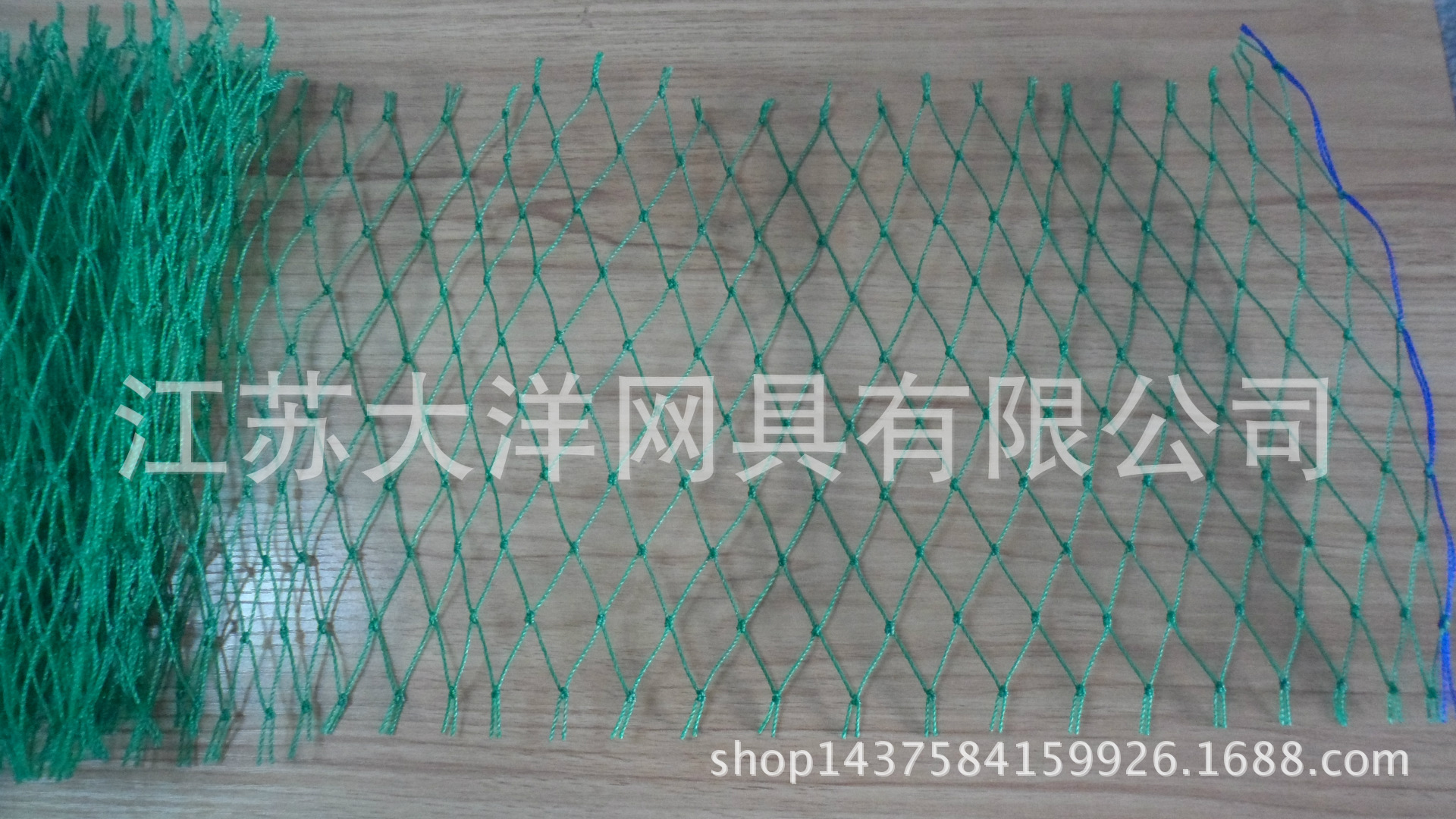 海安鱼网厂 聚乙烯渔网 农业用网 厂家生产 大洋牌渔网网具