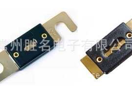 ANL保险片 汽车保险丝32V48V200A 熔断器CANl高品质认证齐全镀金