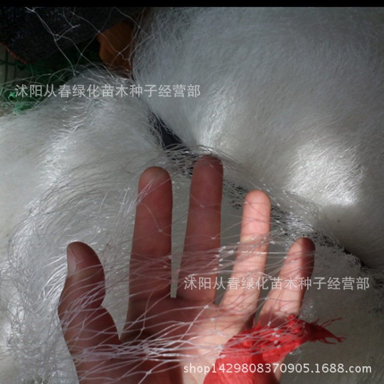 QQ截圖20150730155526