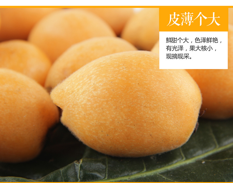 預售雲南蒙自枇杷甜枇杷批發高山枇杷 可批發 新鮮水果代發9