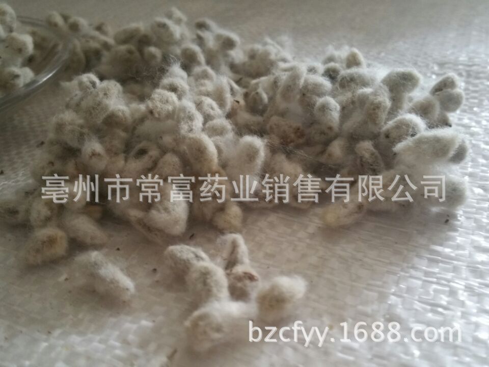 Cotton Seed Mian Zi 500g Dried Whole Seeds for Culinary and Traditional Herbal Use key features