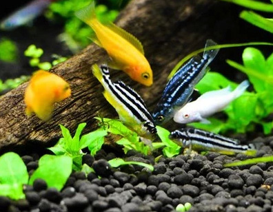 QQ图片20150613162107