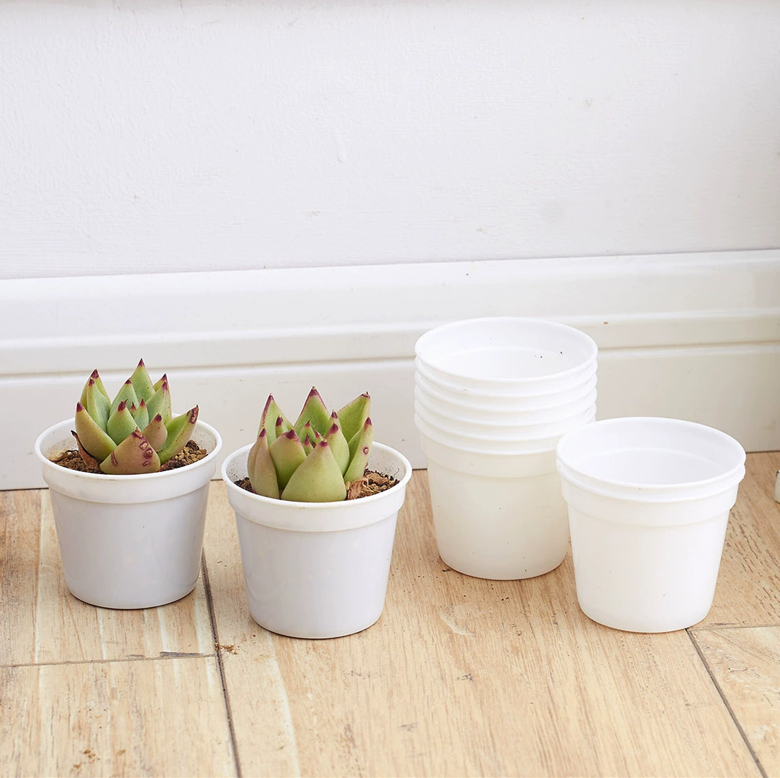 Производитель оптом пластиковые цветочные горшки, горшки для посадки, горшки для рассады суккулентов, маленькие белые горшки, маленькие черные горшки, горшки для рассады, садоводство на балконе