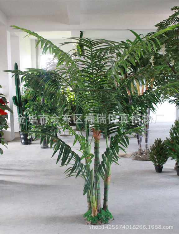 XRS-085四杆椰子叶树15叶170厘米1
