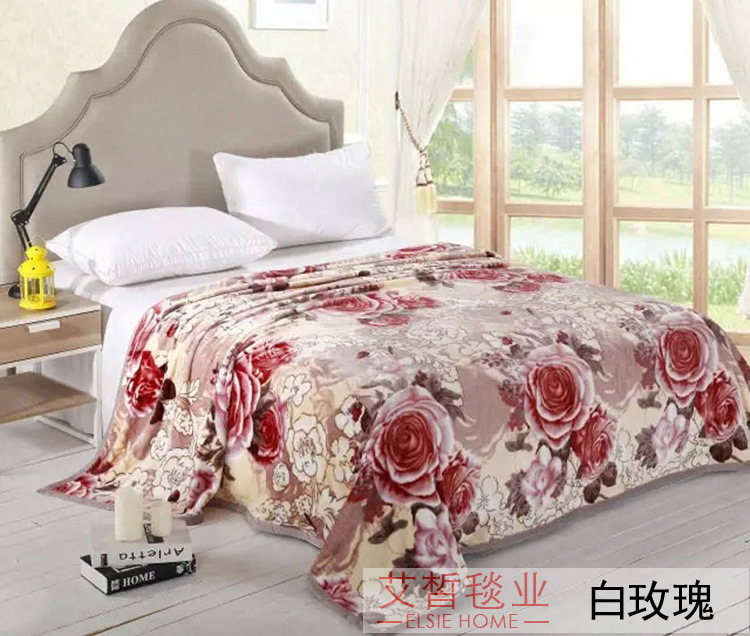 白玫瑰