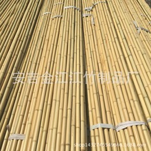 批發供應竹子 優質裝修裝飾竹竿 毛竹 防蟲防霉處理 原產地直銷
