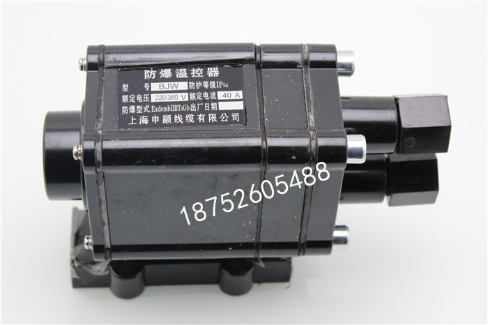 自控温电热带专用防爆温度控制器 30-110度220V 另有380V