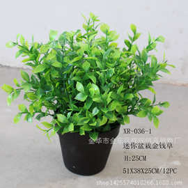 仿真植物迷你小盆栽金钱草优加利豆瓣草室内外落地摆放绿植批发