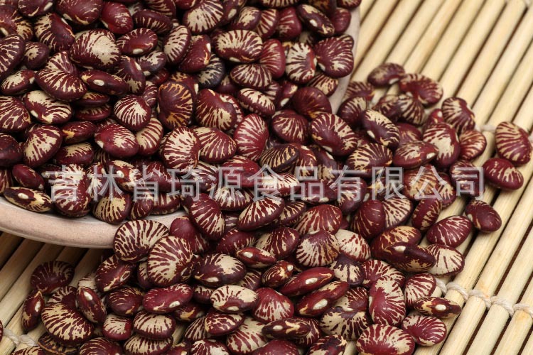 Low Temperature Roasted Cooked Kidney Beans Wholesale Five Grain Soy Milk Ingredient quality and texture