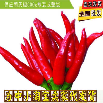優質供應超辣朝天椒 新壹代幹辣椒500克起批 中餐火鍋專用辣椒