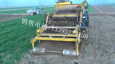 Rhizome Medicinal material Gain Price video-picture