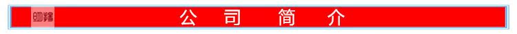 公司簡介