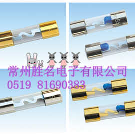 AGU汽车保险丝 保险丝管 10*38 镀金镀镍锌片