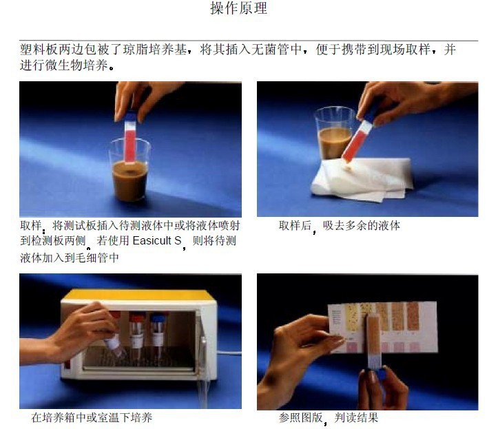 芬兰 Easicult TTC 测菌片 细菌测试片 快速检测 测菌板-阿里巴巴