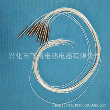简易式pt100铂热电阻WZP-0352镀银四氟引2线或3线制